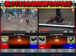 Panduan Cara Bermain Judi Ayam Online